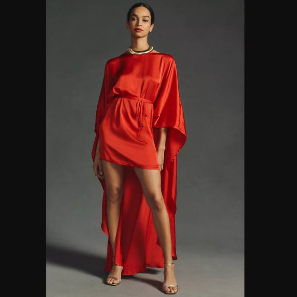 Erika Peña Cape Mini Dress DIOSA SHORT DRESS L/XL - Picture 4 of 15